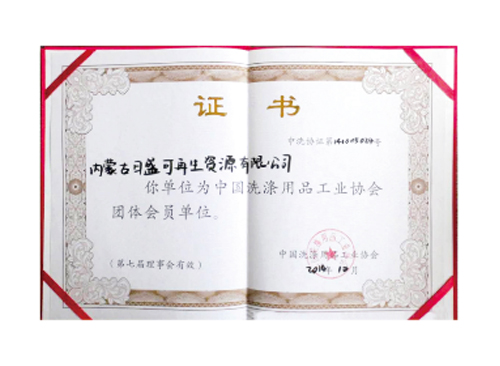 內(nèi)蒙古洗滌助劑